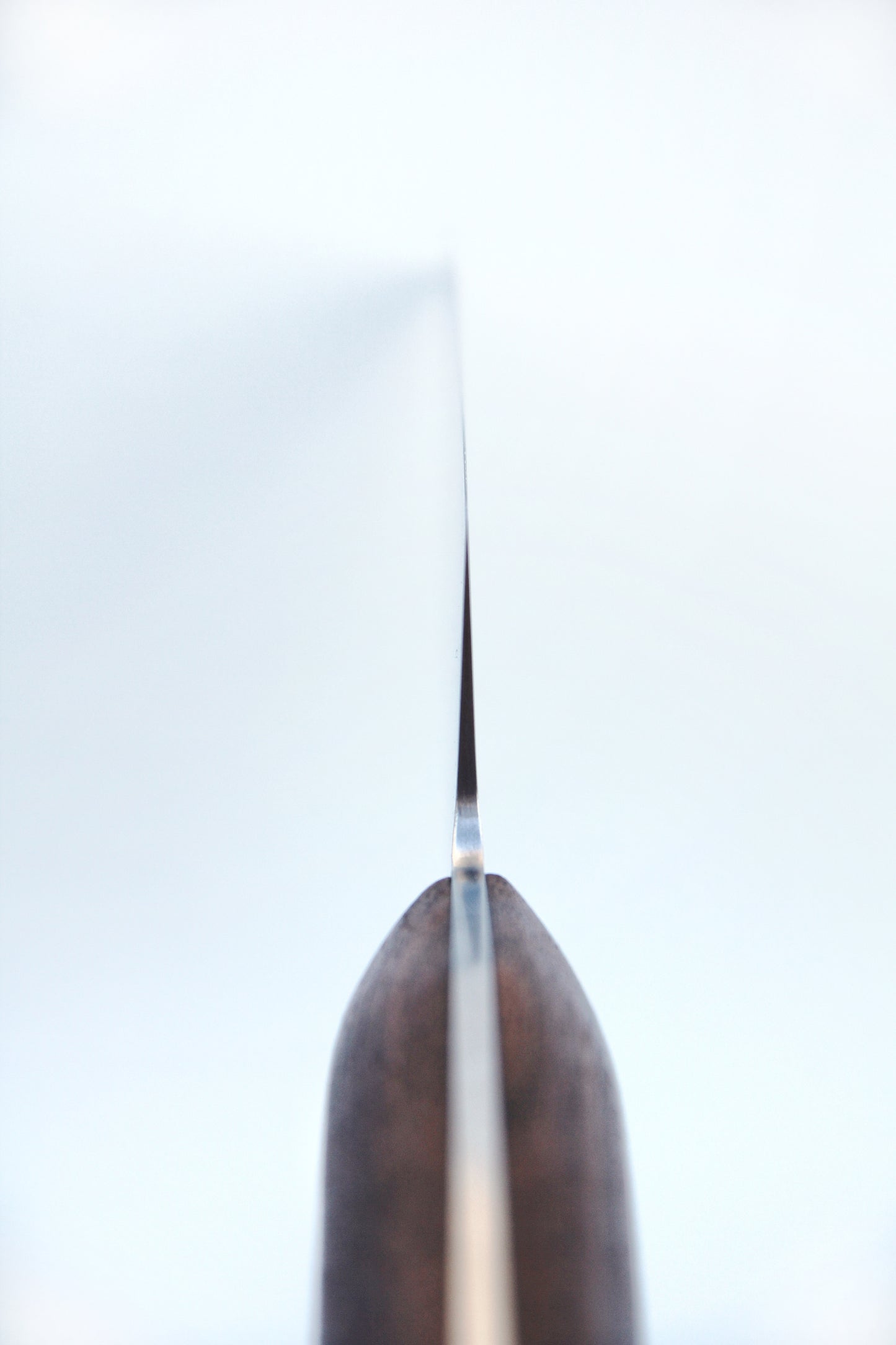 Vue plongée de l'émouture, du finger choil et du fil du couteau de chef La Dorade de Bodéré, affûté pour un tranchant redoutable.